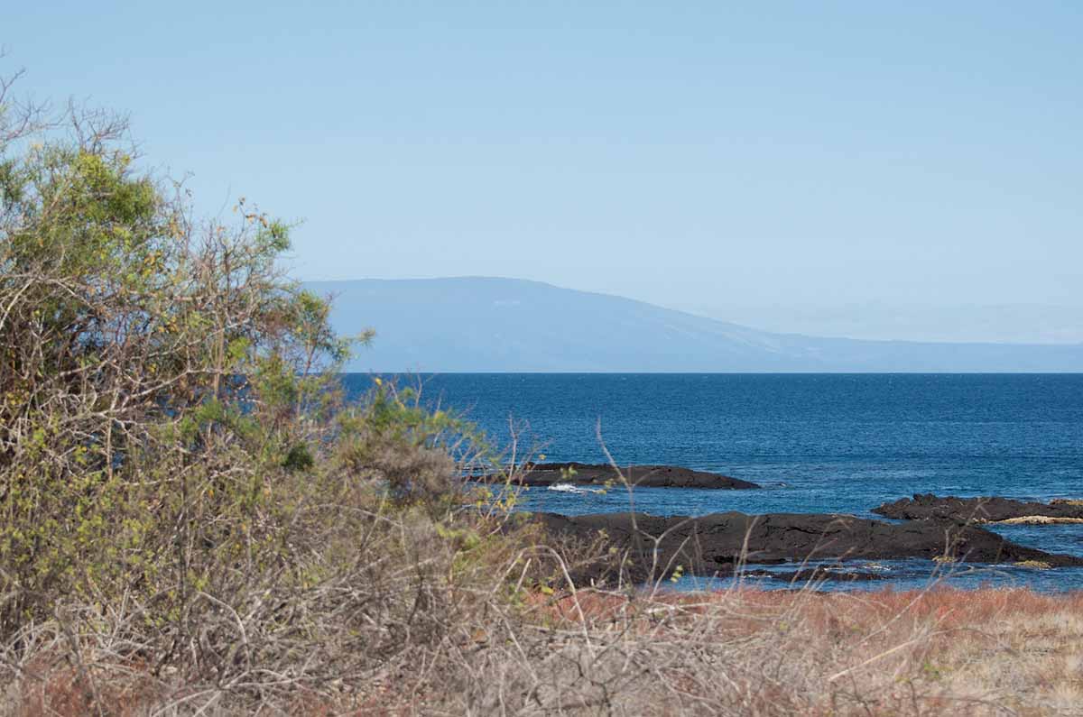 Galapagos diving cruise