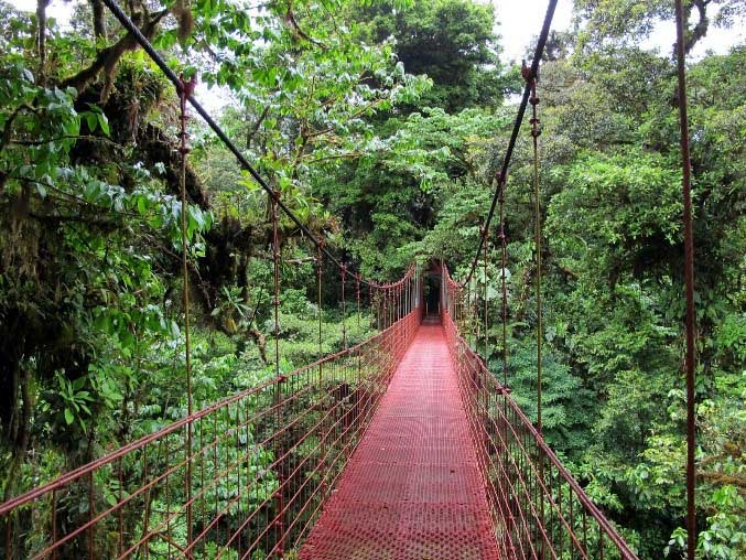 Arenal, Monteverde & Manuel Antonio: 11 Day Tour of Costa Rica National Parks