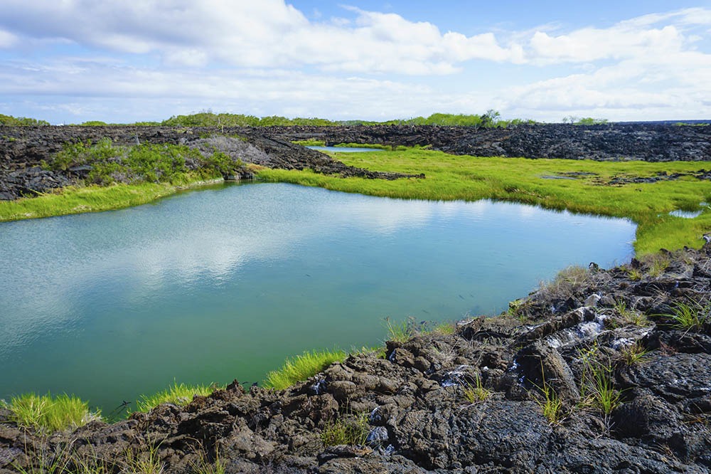 Galapagos Islands 6 day liveaboard tour West islands Alya Catamaran