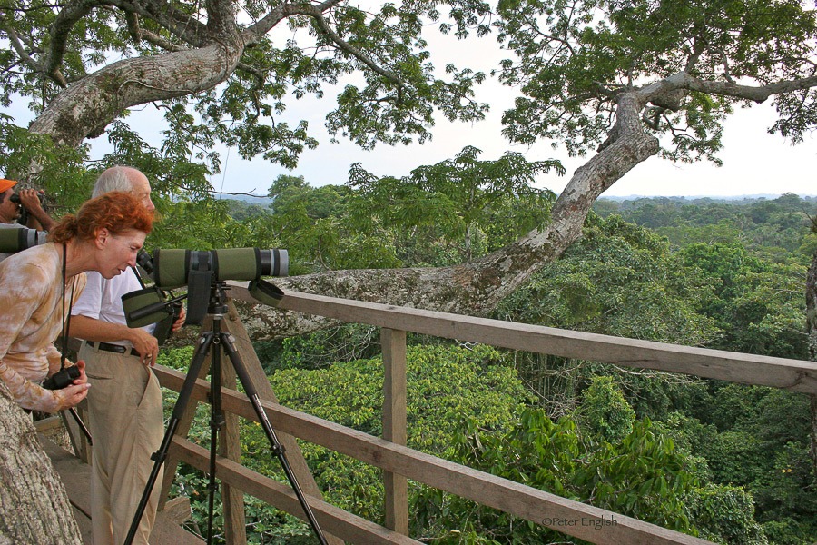 Photography Tour in the Amazon Rainforest of Ecuador