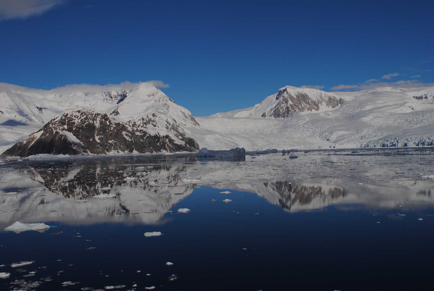 Antarctica - Polar Circle - Whale watching