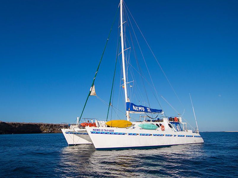 SOUTH 8 DAYS - Nemo II Catamaran | Nemo II | Galapagos Tours