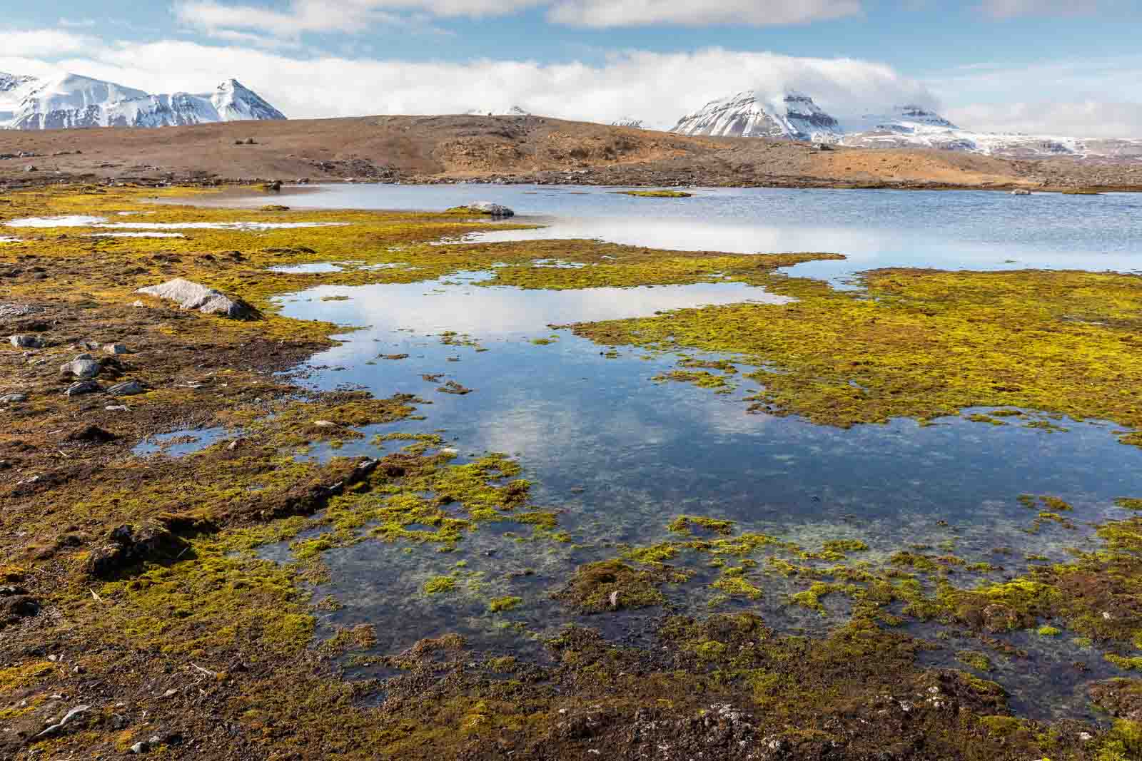 NY London | Svalbard | Antarctica