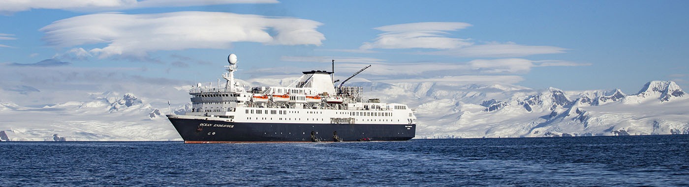 Antarctica, South Georgia & Falklands Odyssey | Ocean Endeavour | Antarctica Tours