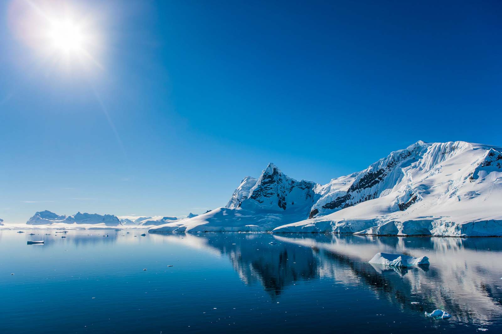 Falkland Islands - South Georgia - Elephant Island - Antarctica - Polar Circle