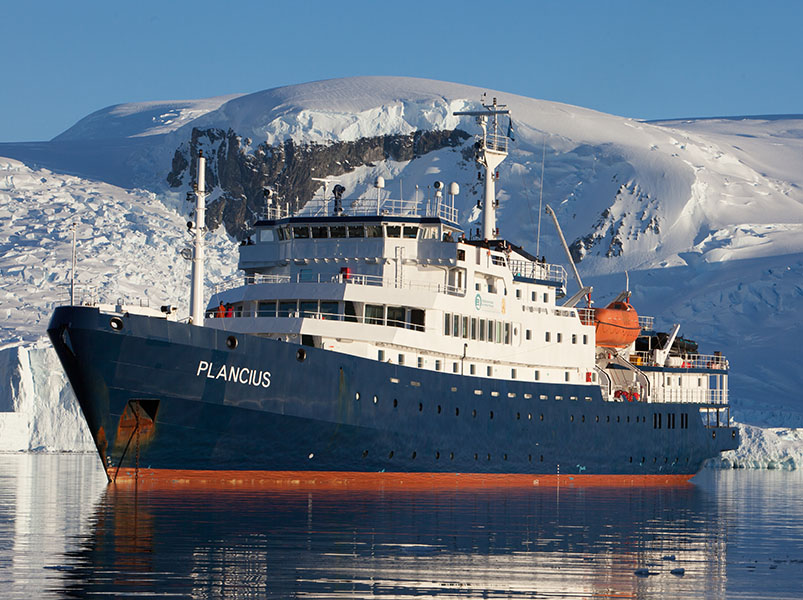 North Spitsbergen, In search of Polar Bear & Pack Ice | Plancius | Antarctica Tours