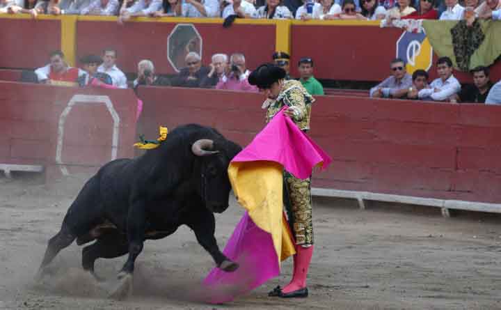 Watch a Bullfight at the Plaza de Acho | Peru