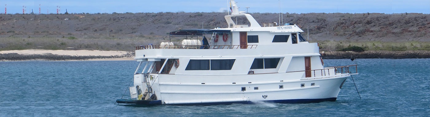 4 night boat tour visiting 5 islands in the Galapagos archipelago  - Darwin Yacht | Darwin | Galapagos Tours