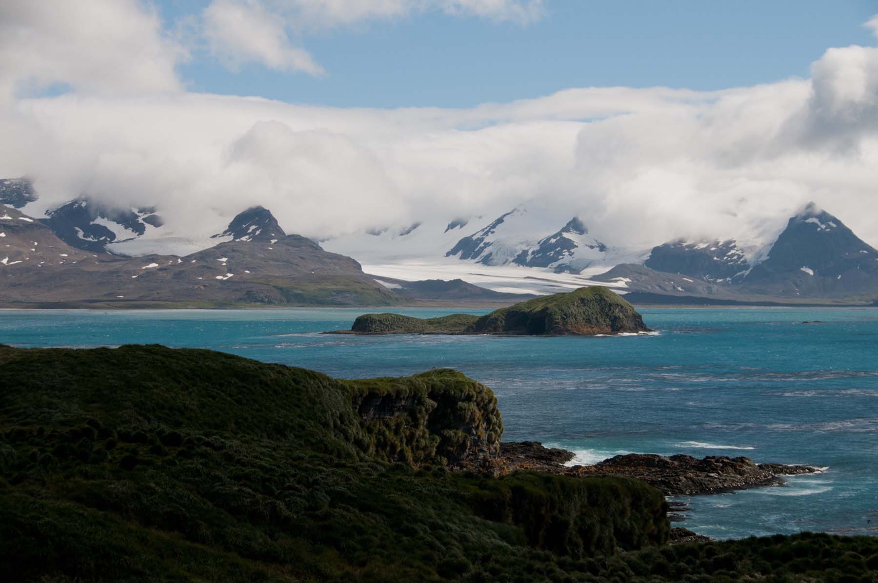 Falklands (Malvinas), South Georgia & Antarctica