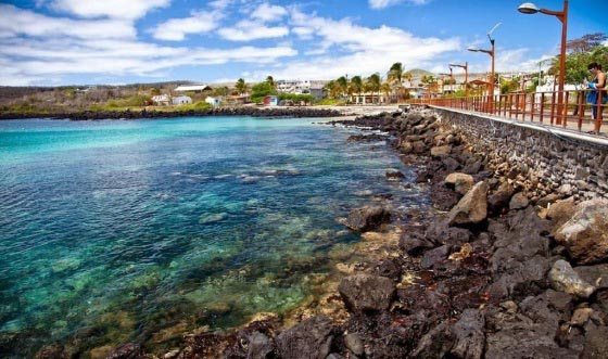 Cruise to the Galapagos islands in the south and central part of the archipelago