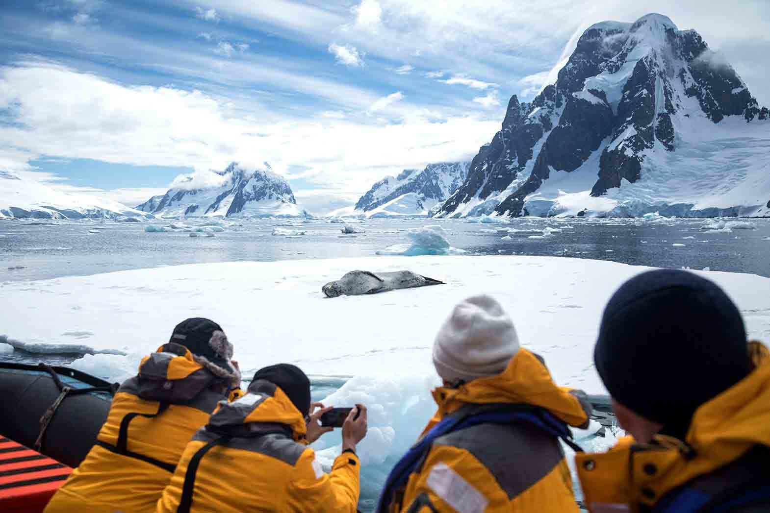 Fur seal | Southern Expedition Antarctica