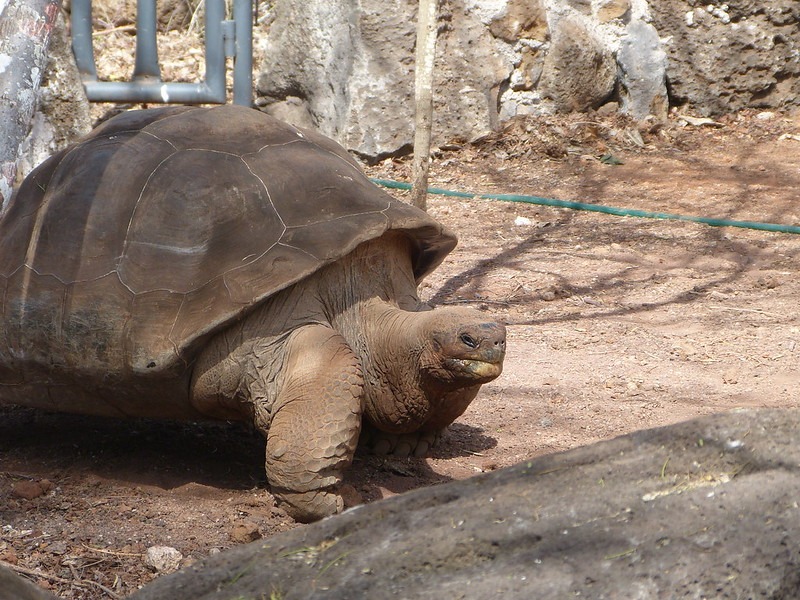 Galapagos Land Tour From San Cristobal