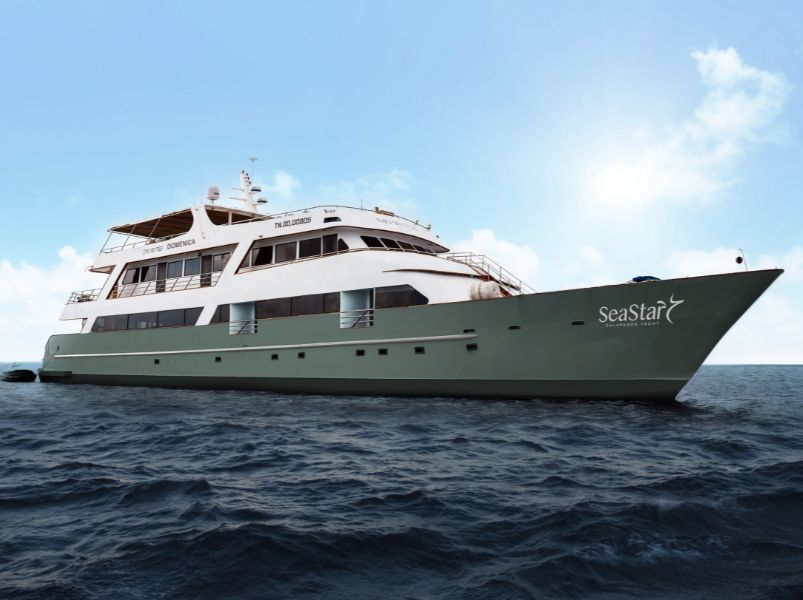 Sea Star Journey