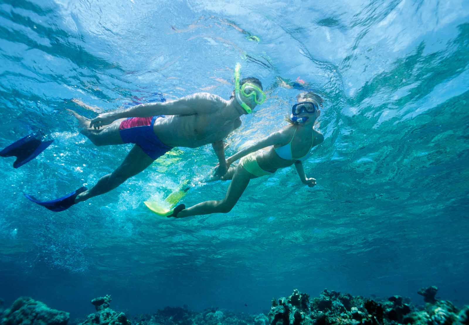Exploring Paradise: Must-Do Activities in Ecuador and the Galapagos - Must-Do Activities in Ecuador
