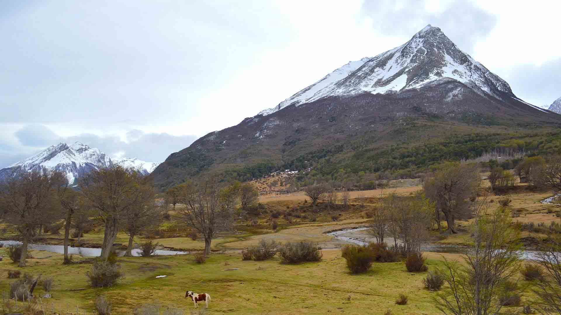  Patagonia | Tierra del Fuego National Park