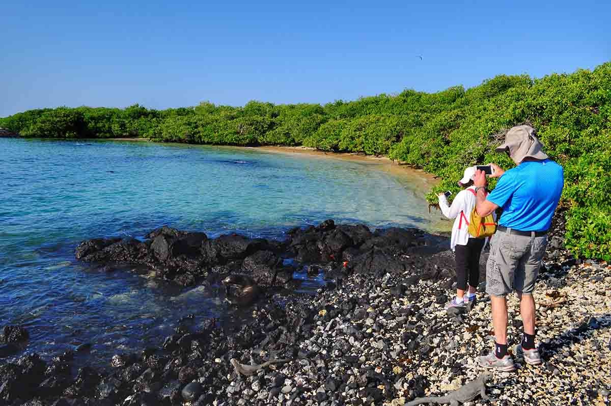 Tintoreras | Isabela Island