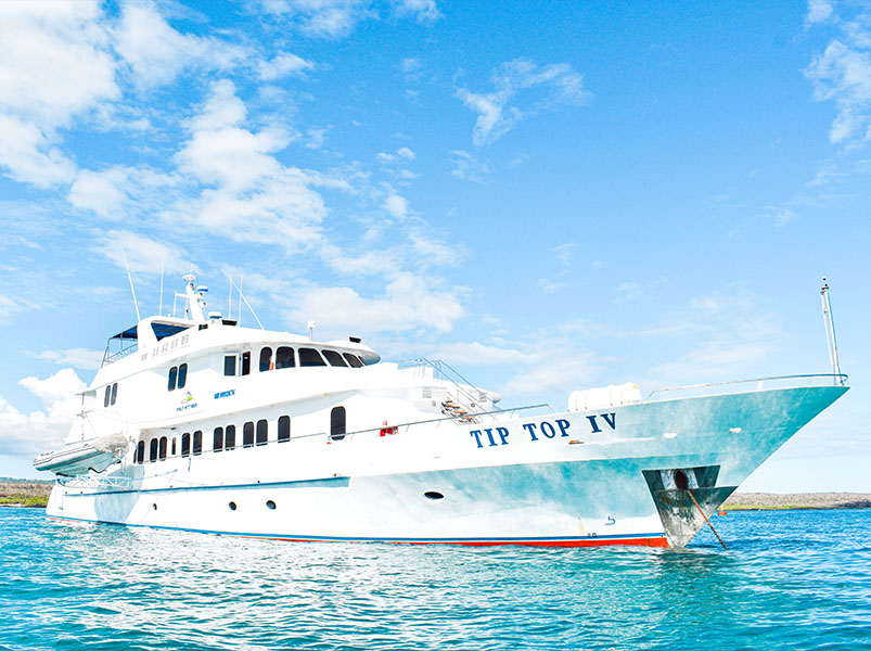 Cruise to the North and West corners of the Galapagos Islands - Tip Top IV Yacht | Tip Top IV | Galapagos Tours