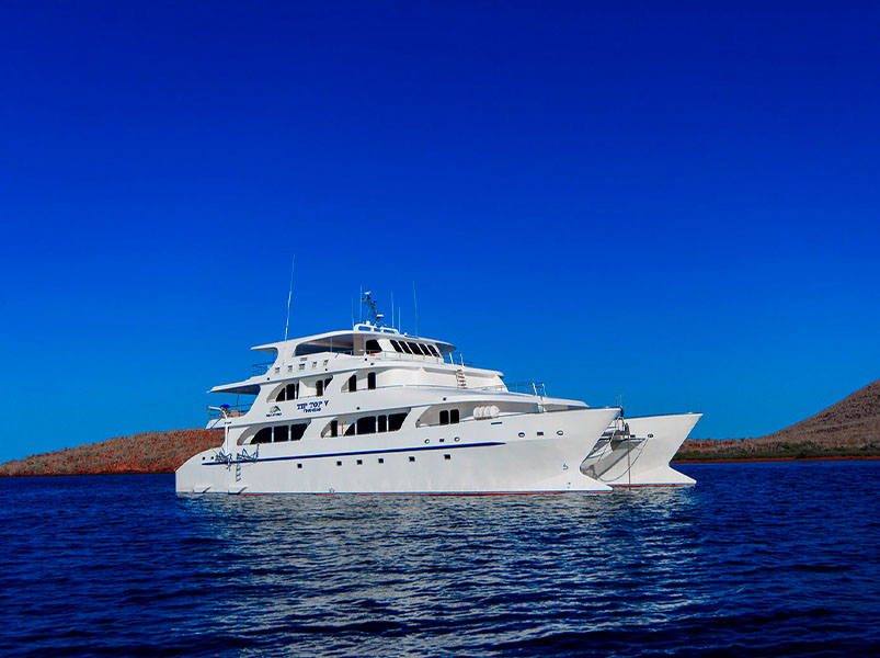 Cruise to the Galapagos islands in the south and central part of the archipelago - Tip Top V Catamaran | Tip Top V | Galapagos Tours