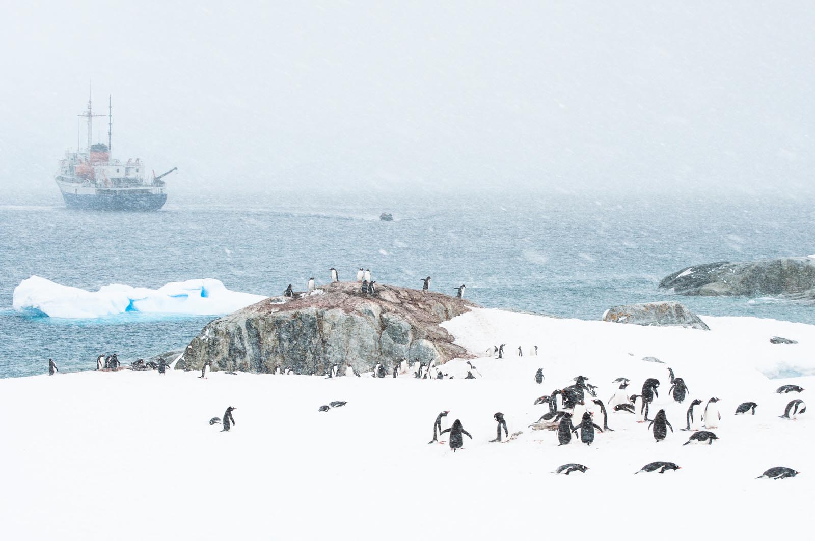 15 Places to Visit in Antarctica You Can’t Afford to Miss