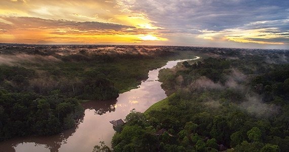 Amazon Deep Rainforest Experience Tour - Ecuador