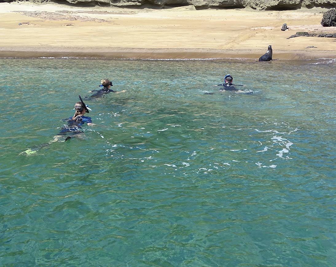 Bartolome Island