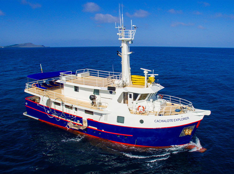 The Isabela Itinerary 6 Days - Cachalote Explorer Yacht | Cachalote Explorer | Galapagos Tours