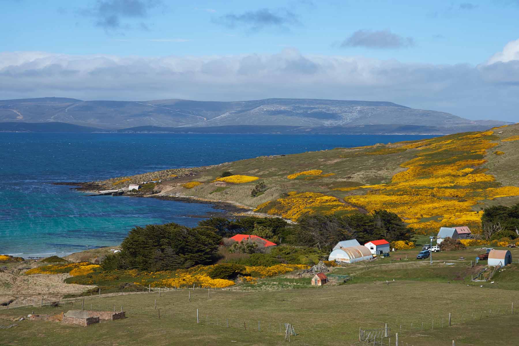 Carcass Island  | Falkland |  Antarctica