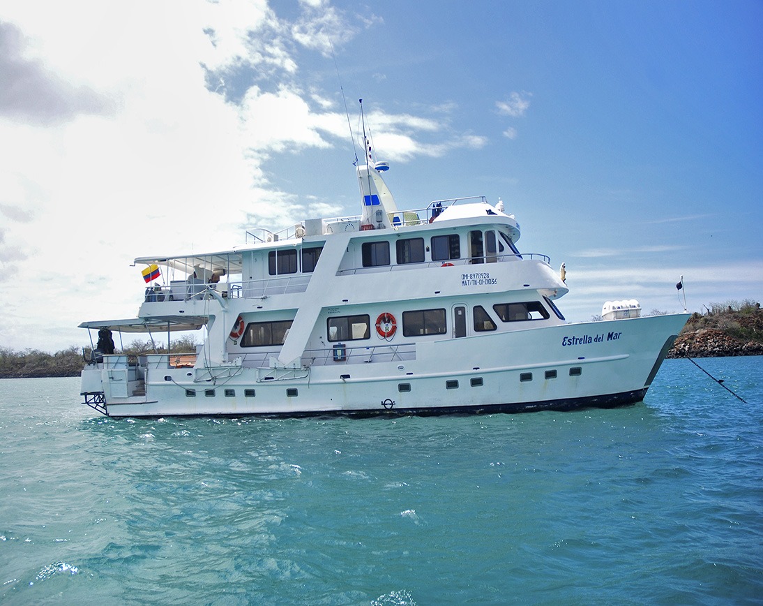 Estrella de Mar