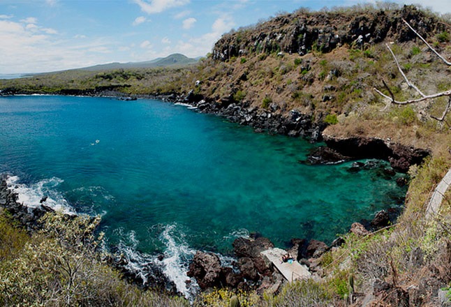  From San Cristobal to Isabela Island-Hopping