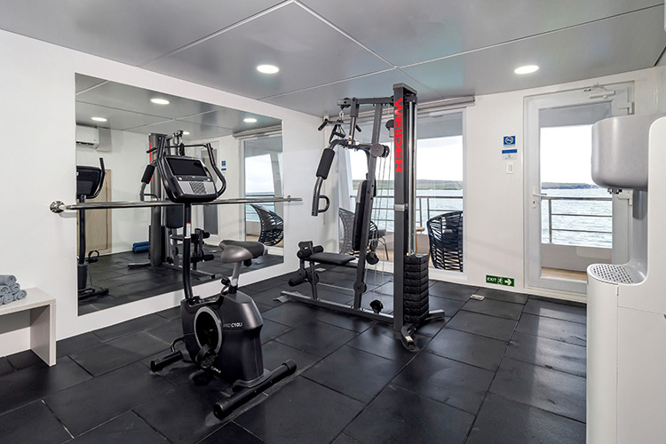 Fitness Area | Cormorant II