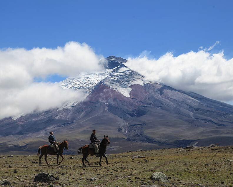 Horse Riding | Cotopaxi