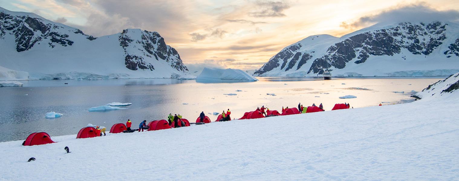 Antarctica, to salvage the season is a priority for expedition cruise lines