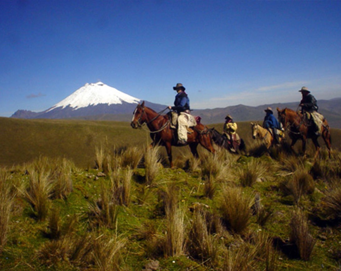 Andes Horseback Riding Tour