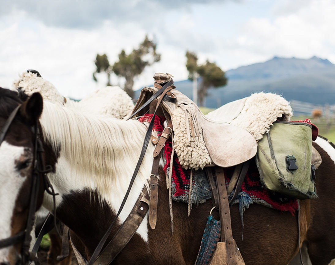 Andes Horseback Riding | Ecuador