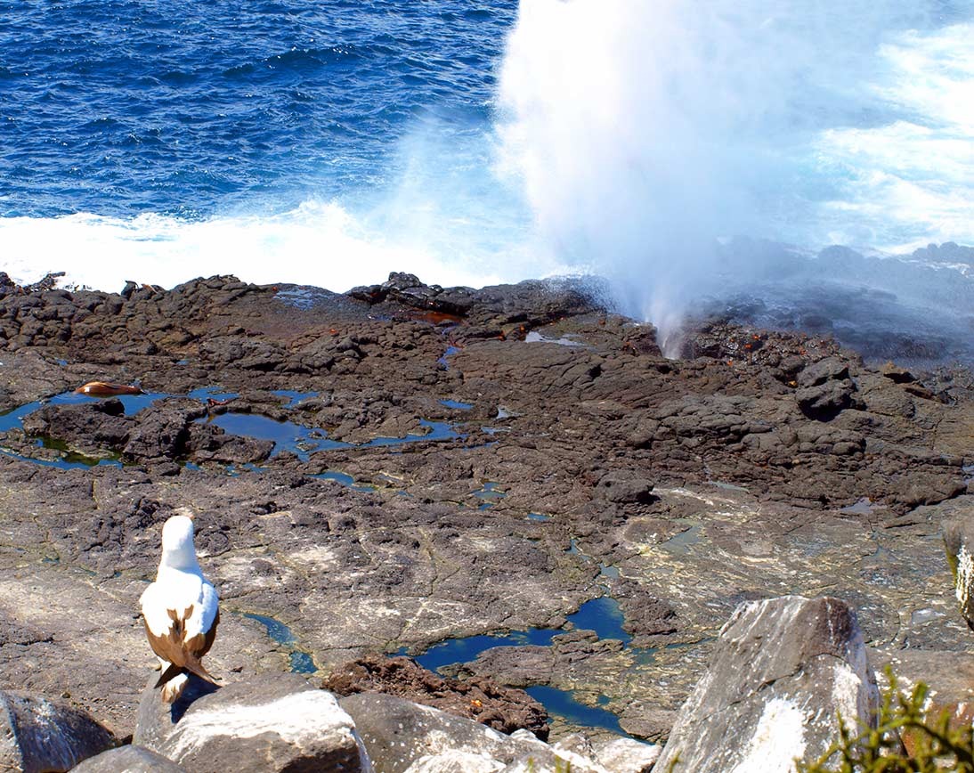 Galapagos Western Islands 8 day cruise Itinerary on board Ocean Spray