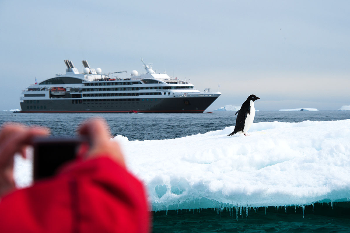 Expedition cruise with penguins in Antarctica