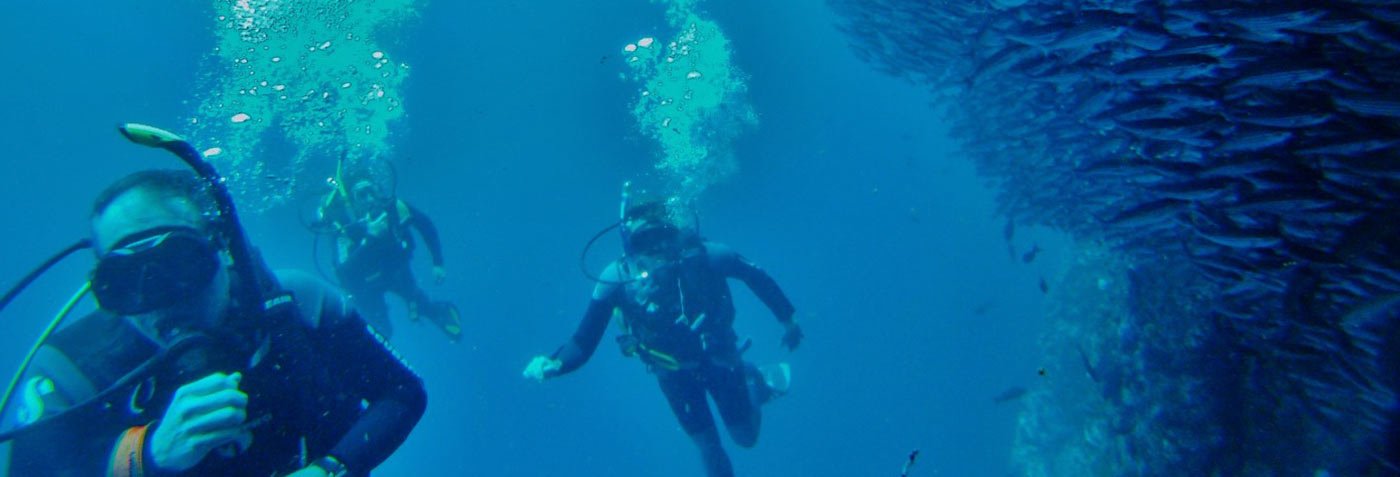  Galapagos | Galapagos Diving: The best scuba spots