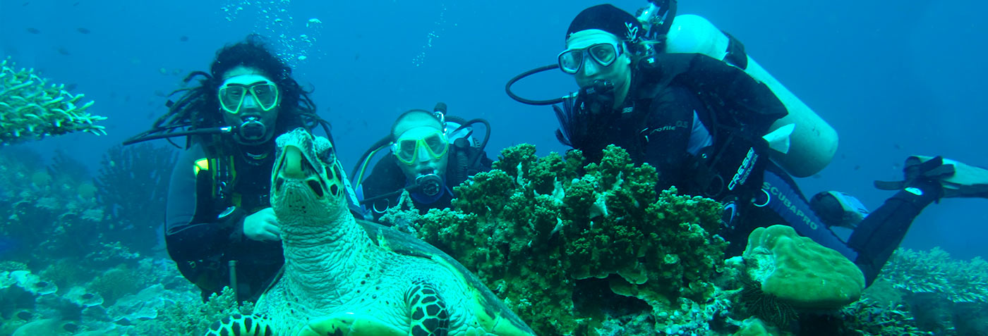 A Journey Below the Surface: Academy Bay Diving in the Galapagos - The Galapagos Archipelago