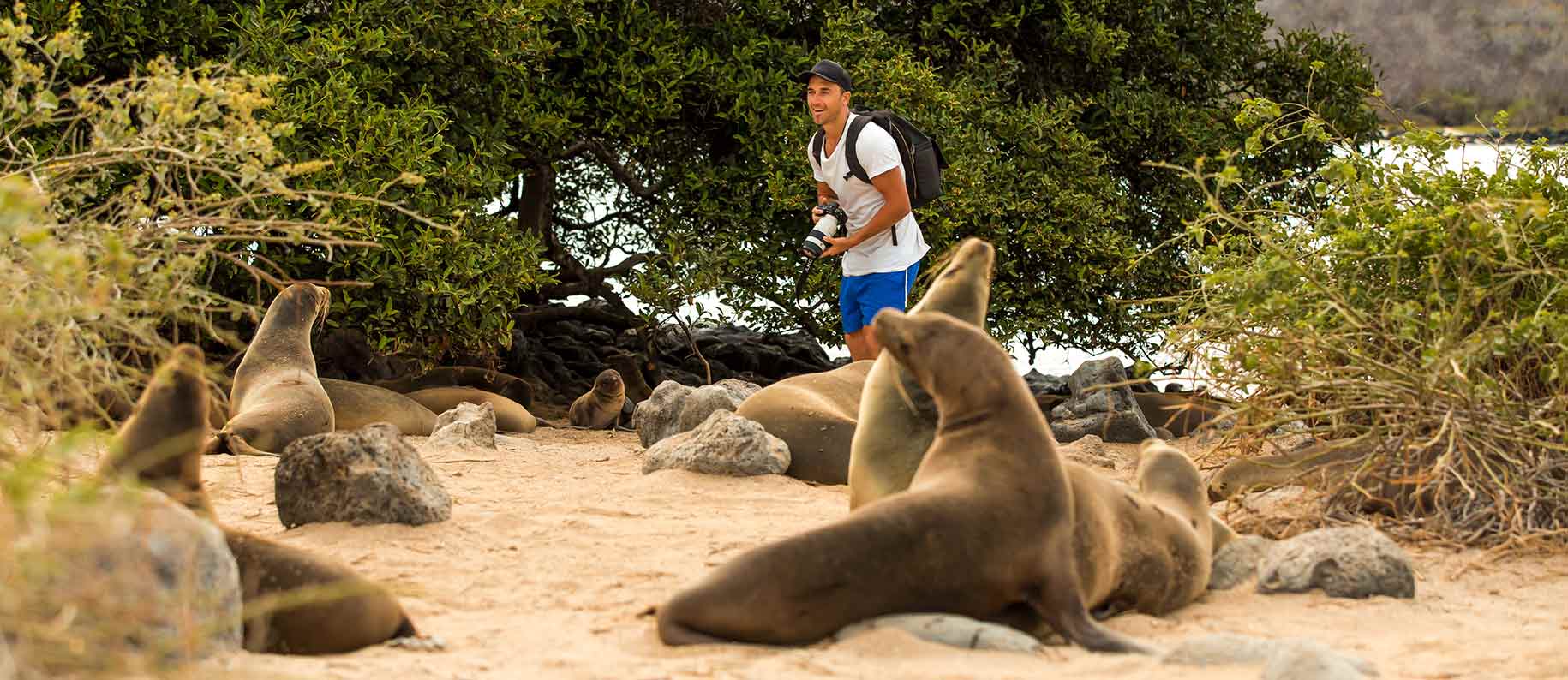 Galapagos Islands | Galapagos Tours | Galapagos Cruises 
