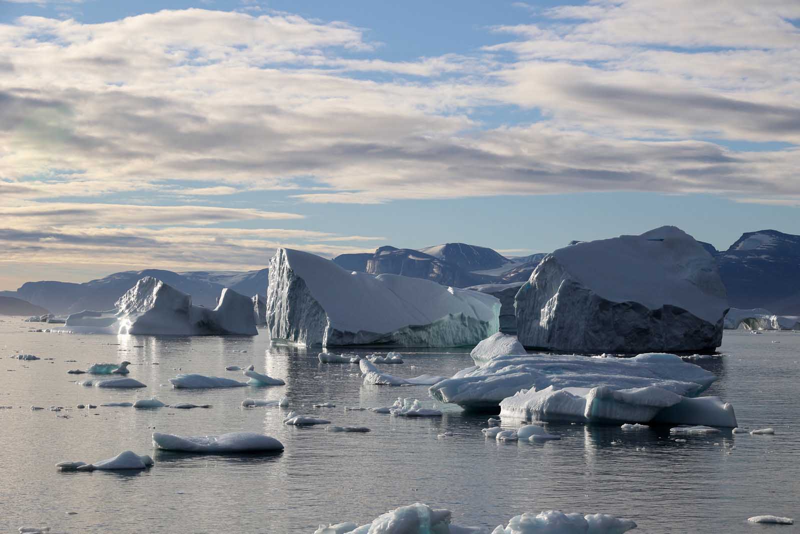 Icebergs, Fjords, Polar bears and Arctic wildlife