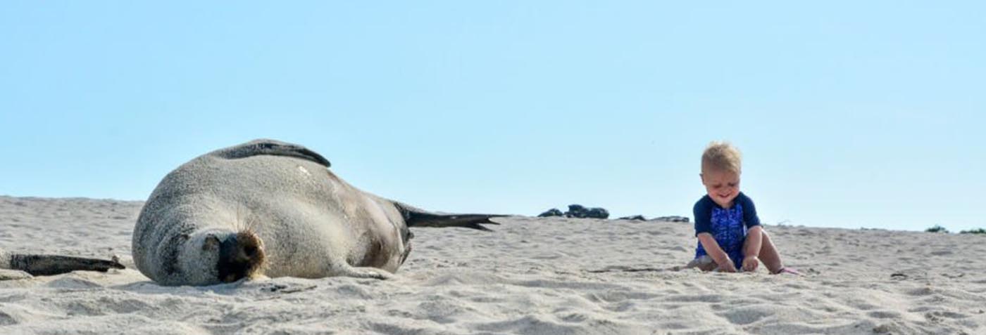  Galapagos | Guide to Traveling to Galapagos with a Baby