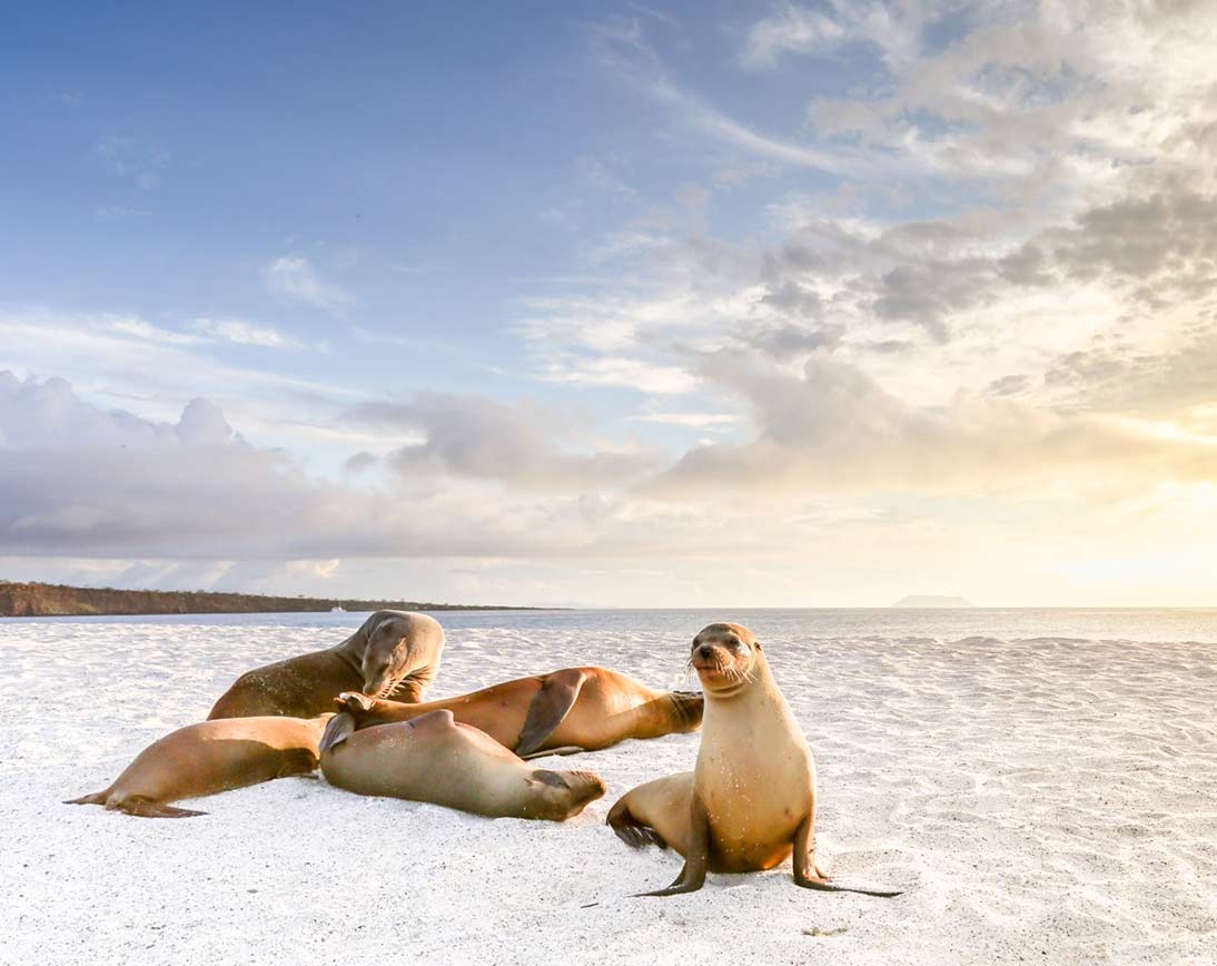 The Ultimate Galapagos Travel Guide for 2024