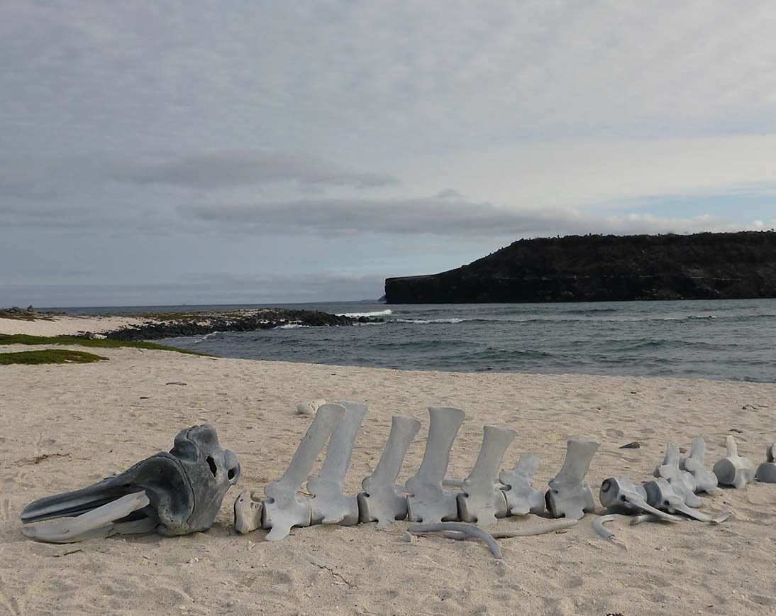 Mosquera Island