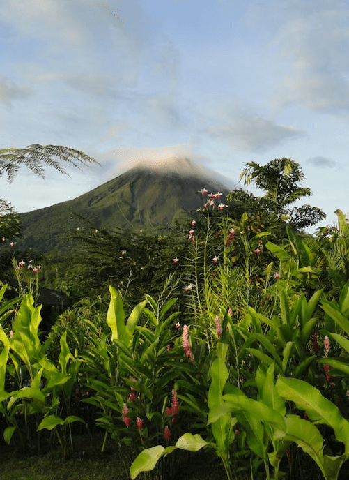 Discovering Costa Rica A Tropical Paradise