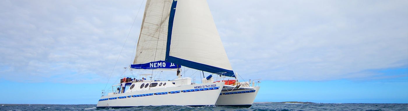 5 day boat trip to the South Islands of Galapagos Nemo Catamaran II - Nemo II Catamaran | Nemo II | Galapagos Tours