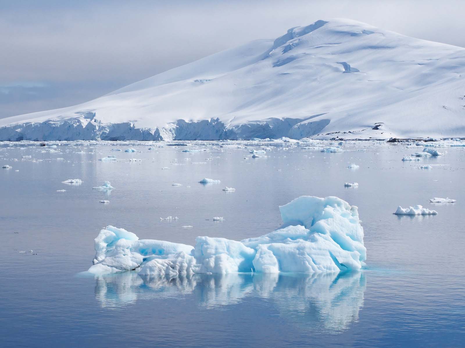 Antarctica & South Georgia Air-Cruise
