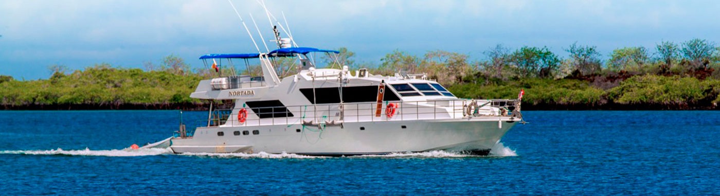 Galapagos diving cruise - Nortada  Yacht | Nortada  | Galapagos Tours