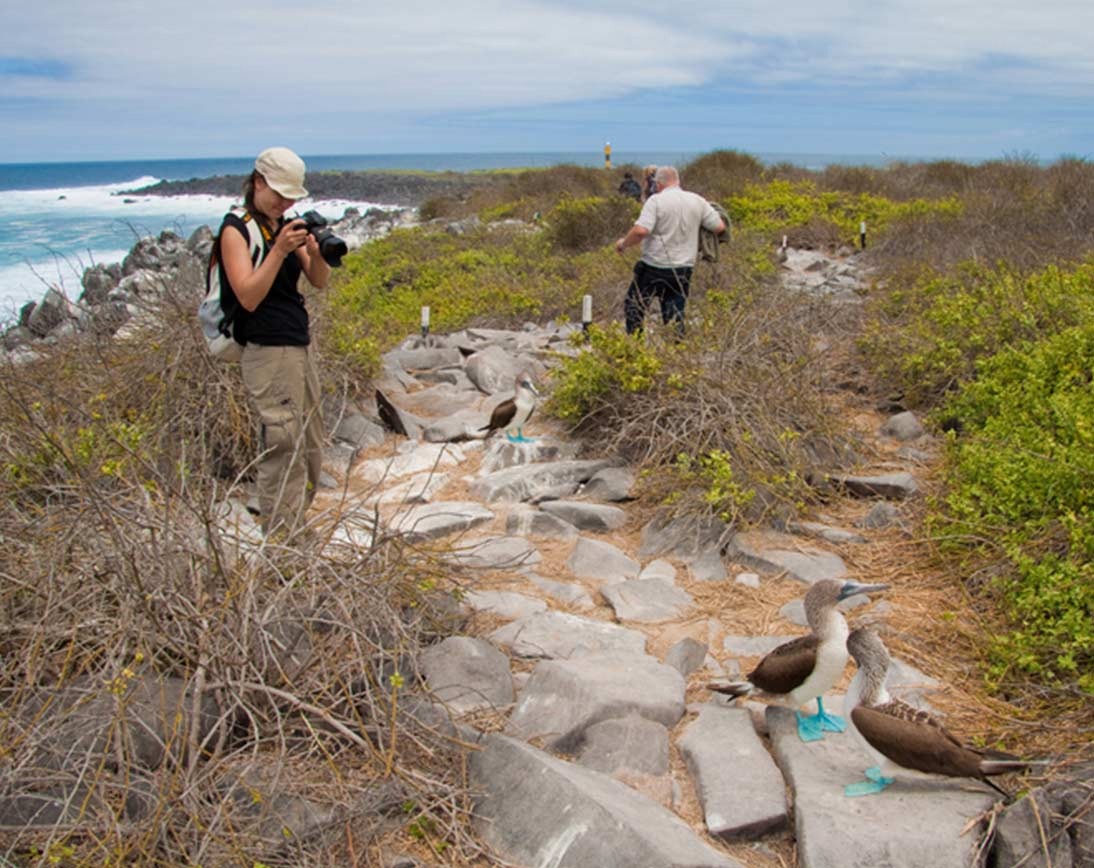 North Seymour | Galapagos