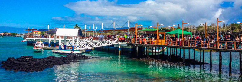  Galapagos | Attractions on Santa Cruz Island