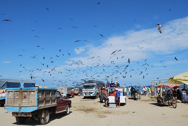 Puerto Lopez I Ecuador 